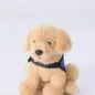 Fluffy toy dog with blue harness on white background, perfect for kids' gifts or playful decor.