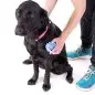 Person brushing a black dog with a blue grooming tool on a white background.