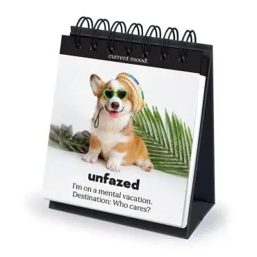 Corgi in sunglasses and hat on a calendar, caption: Unfazed. I'm on a mental vacation. Destination: Who cares?