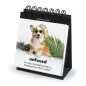 Corgi in sunglasses and hat on a calendar, caption: Unfazed. I'm on a mental vacation. Destination: Who cares?
