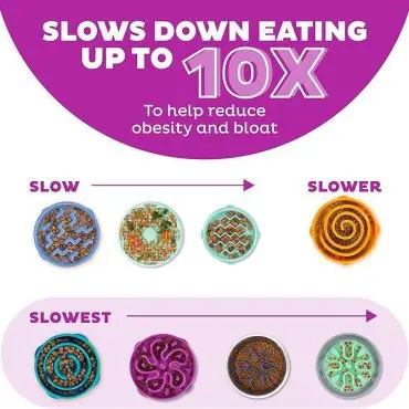 Infographic showing slow feeder bowls reducing eating speed to prevent obesity and bloat in pets, with various designs.