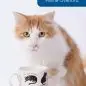 Fluffy ginger and white cat with a decorative mug labeled Tuesday Feline Overlord on a wooden table.