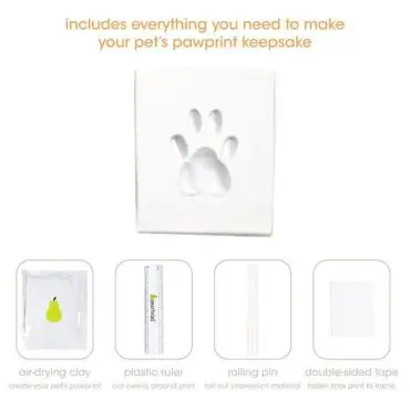 Pet paw print kit with air-drying clay, plastic ruler, rolling pin, and tape for creating keepsakes.