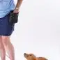 Person training a puppy with treats, dog attentively looking up, wearing harness and leash, plain white background.