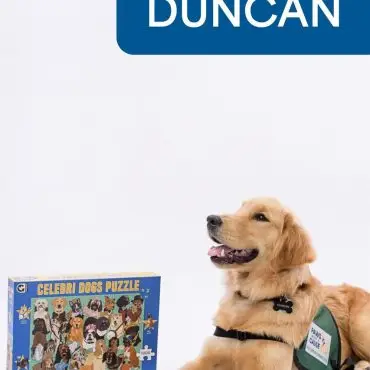 Golden retriever next to Celebri Dogs puzzle box, Paws for a Cause vest, and Duncan name tag on white background.