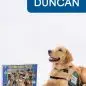Golden retriever next to Celebri Dogs puzzle box, Paws for a Cause vest, and Duncan name tag on white background.