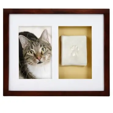 Framed photo of a tabby cat with a paw print impression, perfect for pet memory keepsakes.