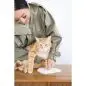 Person helping an orange cat make a paw print in clay on a wooden table.