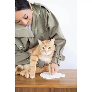 Person helping an orange cat make a paw print in clay on a wooden table.