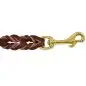 Braided brown leather dog leash with gold-tone hook clasp for secure pet walking.