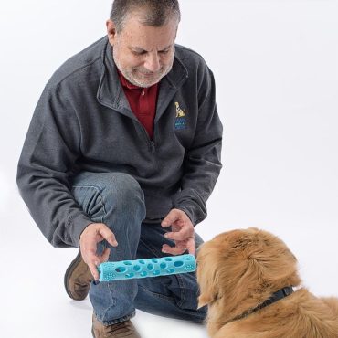 Man in grey jacket playing with a golden retriever using a blue chew toy, Tony & PASHA Staff on image.
