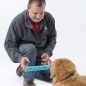 Man in grey jacket playing with a golden retriever using a blue chew toy, Tony & PASHA Staff on image.