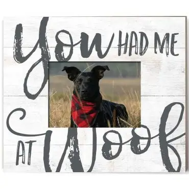 Dog wearing red scarf in field with 'You had me at Woof' text on rustic white background.