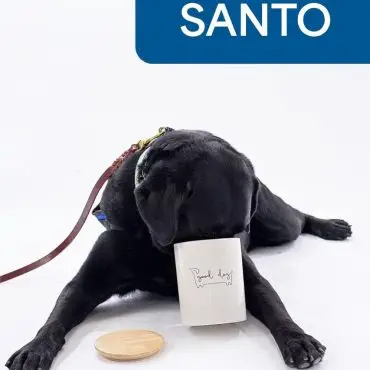 Black dog enjoys a drink from a good dog mug, with a wooden coaster nearby, against a white background.