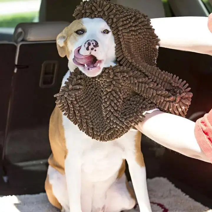 Dog getting dried off with towel in car, looking playful and happy.