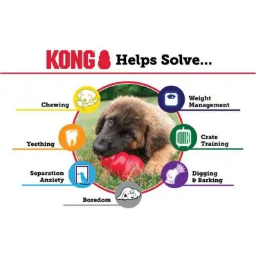 Puppy with KONG toy solving chewing, teething, and anxiety issues. Helps in weight management, crate training, and boredom.