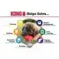 Puppy with KONG toy solving chewing, teething, and anxiety issues. Helps in weight management, crate training, and boredom.