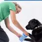 Woman cleaning a black dog's paw using a blue MudBuster.