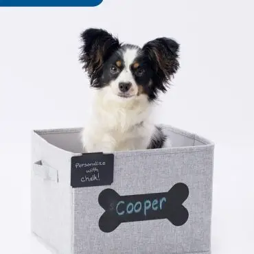 Cute dog in personalized storage box labeled Cooper with chalk, promoting customizable pet products by Opal.