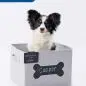 Cute dog in personalized storage box labeled Cooper with chalk, promoting customizable pet products by Opal.