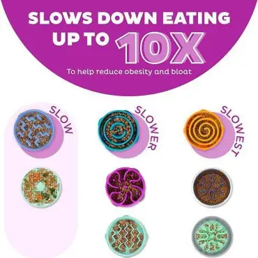 Dog feeding bowls designed to slow down eating, helping reduce obesity and bloat, with various maze patterns.