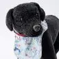Black plush dog wearing a colorful bib with animal patterns against a white background.