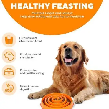Golden retriever with an orange slow feeder bowl, promoting healthy eating habits for dogs.