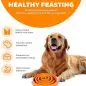 Golden retriever with an orange slow feeder bowl, promoting healthy eating habits for dogs.