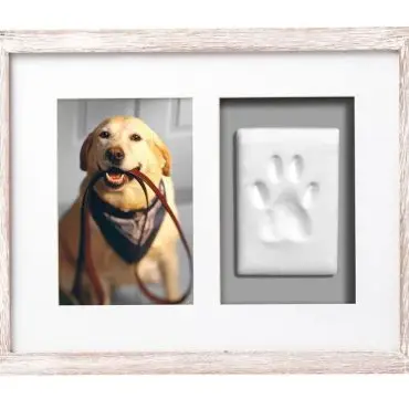 Dog with leash and paw print in framed display, capturing pet's memory in a unique tribute.