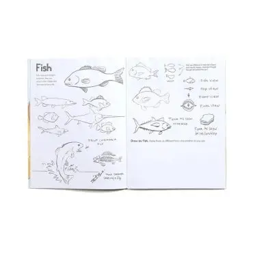 Illustrated fish drawing guidebook with various fish sketches and views, including trout and tuna, for art practice.