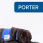 Brown assistance dog Porter with a blue vest lies on floor with black chew toy, labeled Paws with a Cause.