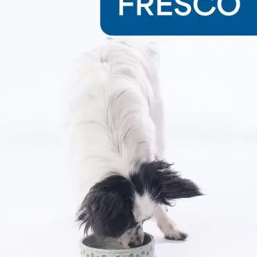 A small dog eating from a decorative bowl with Fresco text above, set against a white background.