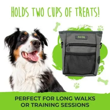 Dog treat pouch holds two cups, perfect for long walks or training sessions. Featuring a happy dog and green accents.