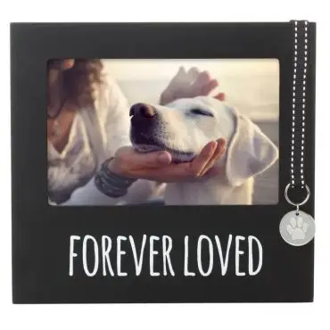 Dog in a black frame labeled Forever Loved, being gently petted with a keychain accent.