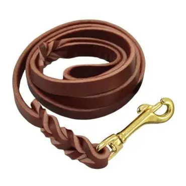 Brown leather dog leash with gold clasp, coiled neatly for pet walking.