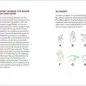 ASL alphabet guide with instructions for facial expressions and hand signs for letters A to J.
