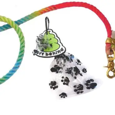 Colorful dog leash with a poop bag holder featuring paw prints; practical pet walking accessory.