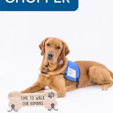 Assistance dog wearing a blue vest with a sign saying, Time to walk our humans. Ideal for pet care content.
