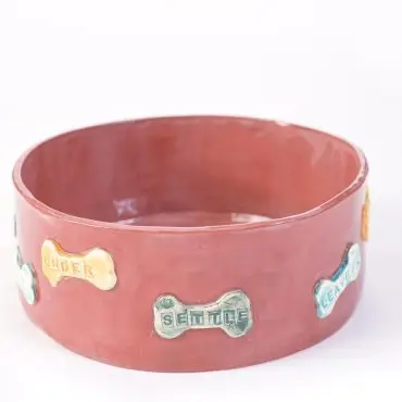 Handcrafted ceramic bowl with colorful bone motifs, featuring words like UNDER, SETTLE, and LEAVE IT.