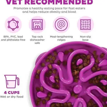 Purple slow feeder dog bowl with ridges, holds 4 cups of food, dishwasher safe, non-slip base, BPA-free, vet-recommended.