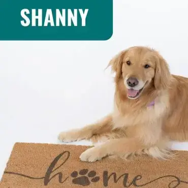 Golden retriever laying next to a doormat reading Home is where the dog is, with the name Shanny above.