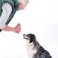Senior woman playing fetch with attentive dog, holding red toy.