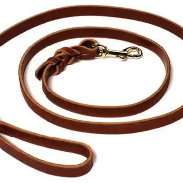 Brown leather dog leash with braided detail and metal clasp on white background.