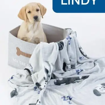 Yellow Labrador puppy in a treat basket with a cozy dog-themed blanket, labeled LINDY.