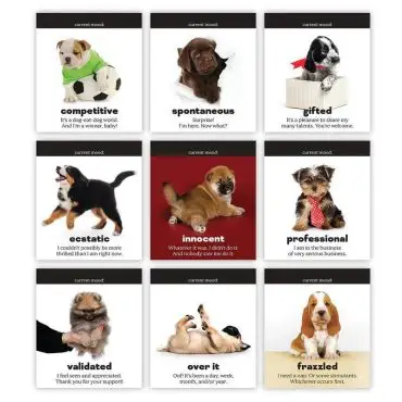 Grid of cute puppies showcasing various moods: competitive, spontaneous, gifted, ecstatic, innocent, professional, validated.