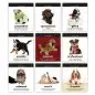 Grid of cute puppies showcasing various moods: competitive, spontaneous, gifted, ecstatic, innocent, professional, validated.