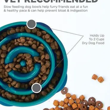 Slow feeder dog bowl with kibble prevents bloat, holds 2 cups, vet recommended for healthy eating habits.