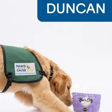 Golden retriever in a green vest sniffs a package labeled Beer City. Text: DUNCAN.