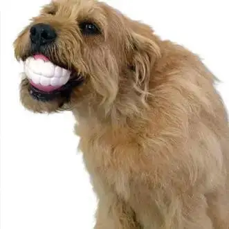 A fluffy dog playfully holds a toy with a fake smile, showcasing humor and pet-friendly fun.