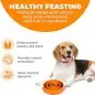 Dog with an orange slow-feed bowl, promoting healthy eating, mental stimulation, and digestion benefits.